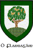 Flanagan Shield